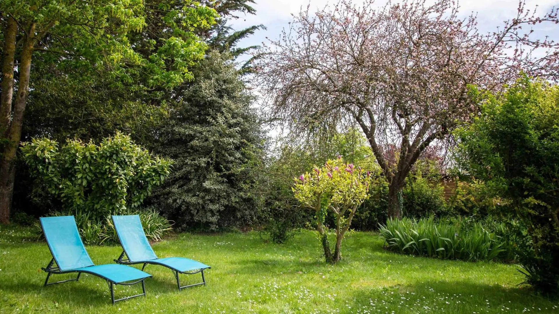 Maison Conviviale Avec Jardin A Pordic - Ideale Pour 13 Pers. Tatil Evi